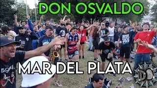 Don Osvaldo en Mar del Plata | 31/1/2026