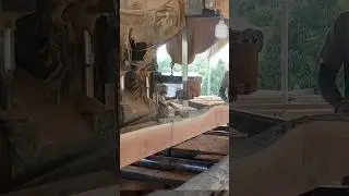 Gergaji mesin. #sawmill #woodworking #sawmillindonesia