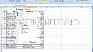 Microsoft Excel 2007-Data=2:Filter