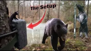 BEARS BEARS BEARS! Trail Camera Setup + Surprise Shed Antler!