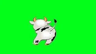 green screen happy cow#green screen with fun