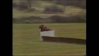 1985 Champion Chase Cheltenham Badsworth Boy