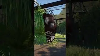 This Okapi&rsquo;s Tongue Is Out of Control!