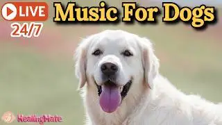 🔴24/7 Dog Music🎵🐶Relaxing Dog Music for Sleep🐶💖Soothes Separation Anxiety🦮Sleep Music for Dogs🔴22