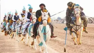 Pak Biggest Horses Farm ll Al_Abbas Stud Farm Chiniot