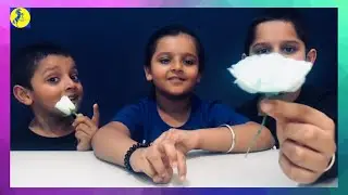 How to get  Colored Flowers | Color Changing Flower Experiment | Science Experiments for Kids
