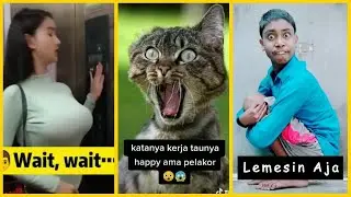 Video Pemersatu Bangsa