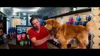Rocky Mountain Dog - adventure gear for your dog - brand video - store grand  opening
