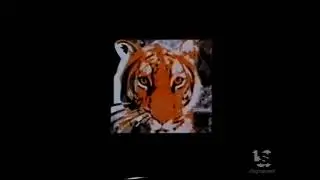 Mandalay Pictures (Lions Gate byline)