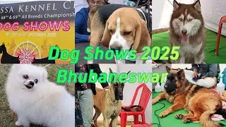 Dog Shows 2025 OUAT Ground Bhubaneswar ll National Level All Breeds Championship Dog Shows ll 