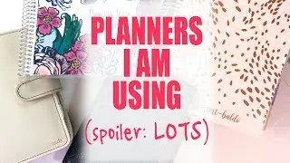 Planners Setup 2017 | Mid Year