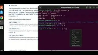 lsb_release command