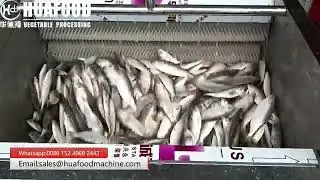 Fish Scaler Brush Washing Machine For Fish Scales Removing