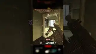 Forward with Welgun and XM4 on Rebirth Island (Call of Duty Warzone)