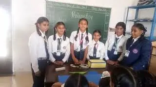 Activity of perimeter in Maths for grade 6