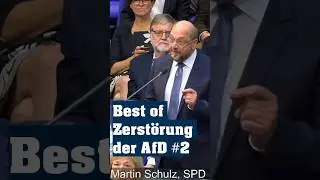 Zerst&ouml;rung der AfD Part 2 #noafd