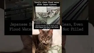 Crystal clear flood water