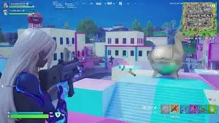 Fortnite With Some Idiots