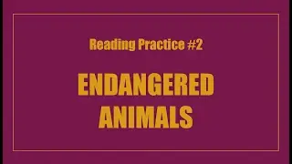 Reading Practice #2: Endangered Animals | Intermediate Text Read Aloud