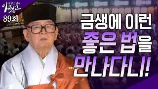 [큰자막]어쩌다가 금생에 이러한 좋은 법을 만났던가?| 송담스님의 이뭣고 89회 (전체영상) #송담스님 #간화선