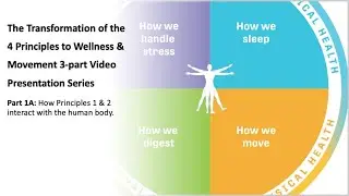 Viewing the Entire Body as an Interactive System of Systems