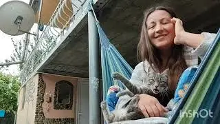 Მიყოლებული ვიდეო დილით