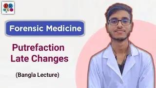 Late post mortem changes | Putrefaction Mummification Adipocere | Forensic medicine bangla lecture
