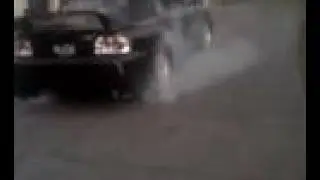 westmo mustang