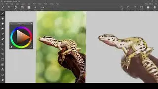 Let's draw some lizards