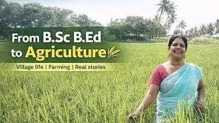 From B.Sc B.Ed to Agriculture🌱🌴🥰#villagelife #farmingtraditions #natural #farming 