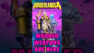 НЕЗАКОННОЕ оружие в Borderlands 4
