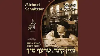 Der Bochur's Tzava'a