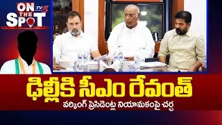 CM Revanth Reddy Visits Delhi Key Meeting Over Appointment of Working Presidents | TV5 News