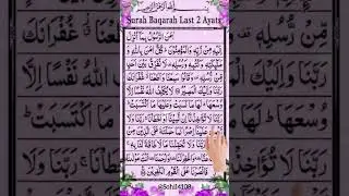 surah Al Baqrah Last 2ayat Quran reaction. #quran #islamicshorts #albaqrah