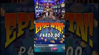 Подкинули золотую рыбку! #slot #заносынедели #jackpot #bigwin #online