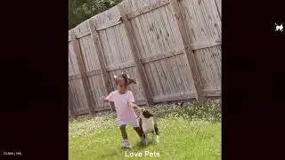 When Your Baby and Little Dog Conduct a Veiled Dialogue 🐾😆