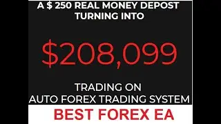 Best & High Profitable Forex EA without any risk | Best Forex EA  | High Profitable  EA | Forex EA