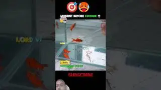 Impossible 🥵🎯🔥 #viralvideo #trending #fish #ranway ##trending #musictrends #memes #shorts #foryou