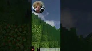 FINALLY BERRY BUSHES #colonysurvival #gaming #multiplayer #funny #fight #food