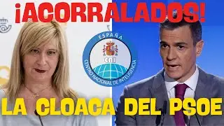 💣BOMBAZO💣: PUJOL, EL CNI, LA UCO, LA CLOACA DEL PSOE Y LOS SOBORNOS A LOS FISCALES ANTICORRUPCI&Oacute;N.
