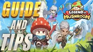 Tips and Tricks for Legend of Mushroom Player
