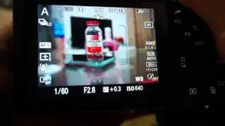 A7II+LAEA3+2470ZASSM對焦速度測試