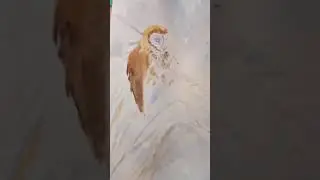 Сова акварелью. Поэтапное рисование.Owl in watercolor.Step-by-step drawing.Зимний лес. Winter forest