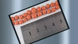 21-1/2