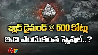 Rare Black Diamond to be Sold at Auction in February | Ntv