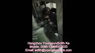 YC Flow Pack Machine(candy)