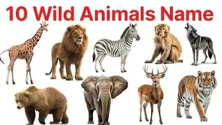 Learn Wild Animals Name l 10 Wild Animals Names in English for kids Vocabulary जंगली जानवरों के नाम