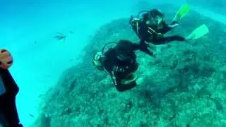 VID00067