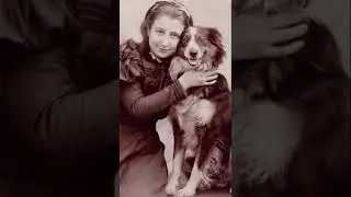 19th century 🐶dog photography🐶|| 1800s photos || Victorian era || fashion history || cute dogs