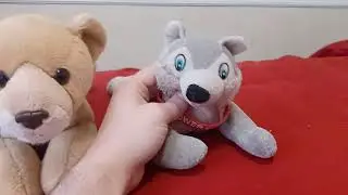 The first Q&A thingy of 2026!